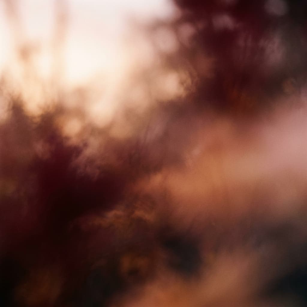 Emotional burnout & exhaustion